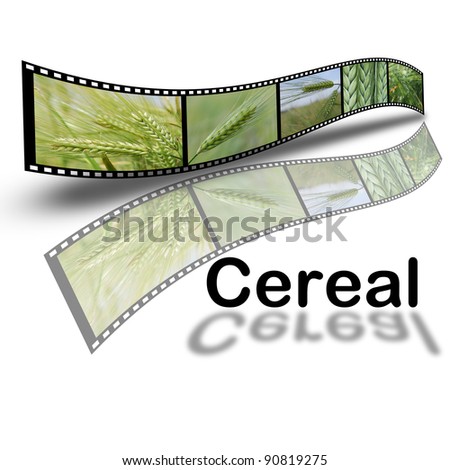 Design about cereals in film style isolated over a white background.
