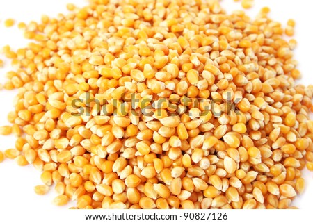 Corns kernel close up picture.