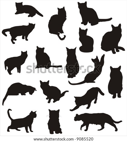 cat vector shapes