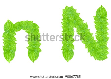 English alphabet made from green leafs with letter N in small capital and large capital letter