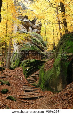 Stone path in autumn forest in Czech republic