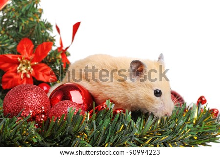 Funny little hamster in branch of fir