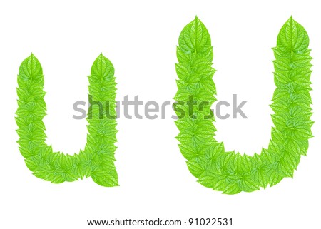 English alphabet made from green leafs with letter U in small capital and large capital letter
