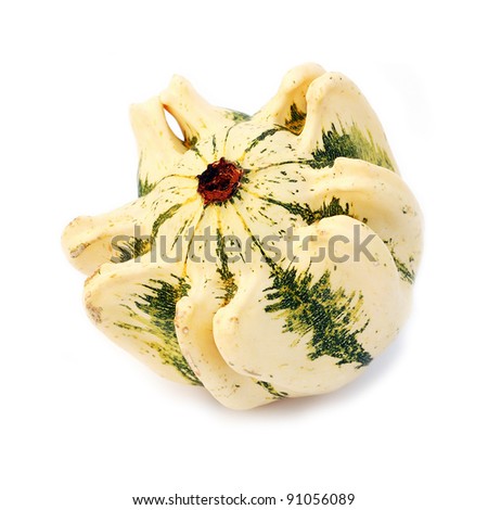 Unusually shaped fruit of an autumn squash isolated on white