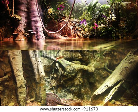 A photo of a nature scene, half below water, half above