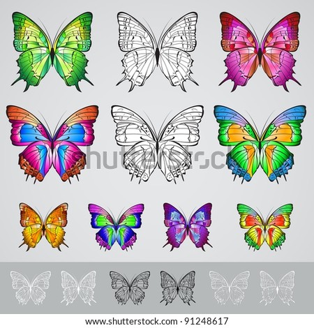 Raster version. Set of different colored butterflies. Illustration on white background