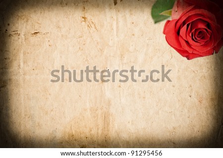 Empty grunge paper with red rose