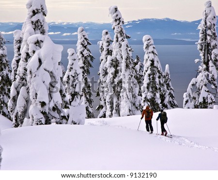 Telemark skiers