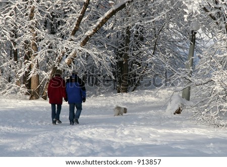 A couple and their dog walking in the snow