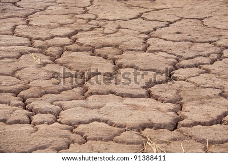 parched earth