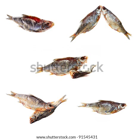 set dried fishes isolated on a white background