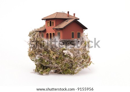 Bird's nest withe the house on white