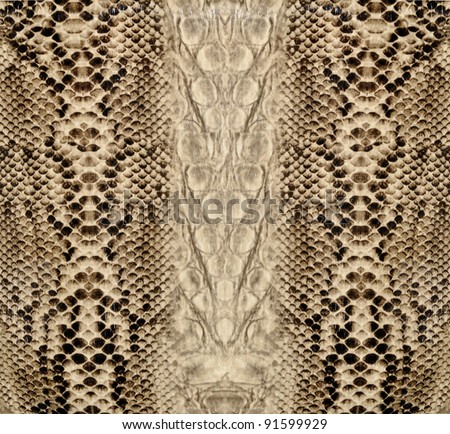 Snake skin, reptile Royalty-Free Stock Photo #91599929