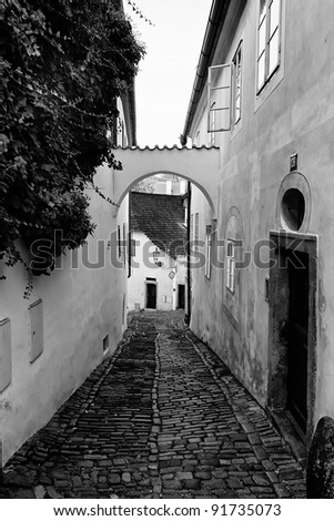 small pebble street at the old town in black and white