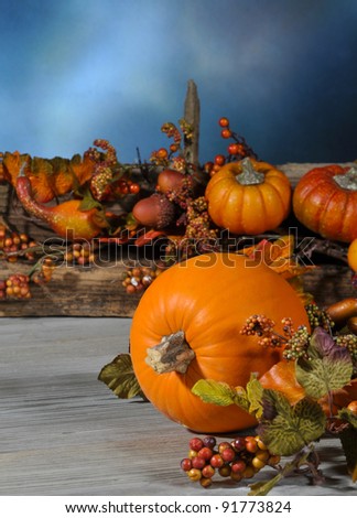 Orange pumpkin on rustic wood set for your favorite fall image.