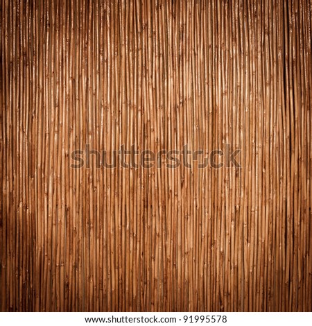 beautiful Japanese bamboo background