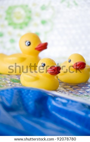 ducks family toy floating on blue