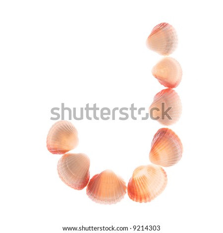 shell letter J, white background, isolated