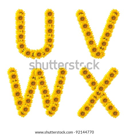 sunflower alphabet isolated on white background