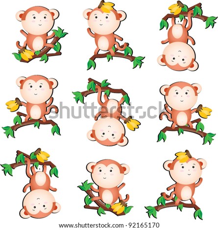 Monkey collection