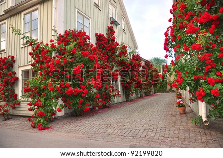 Alley of roses in a medieval town Royalty-Free Stock Photo #92199820