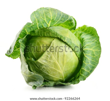 Cabbage isolated on white Royalty-Free Stock Photo #92266264