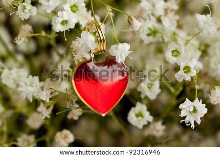 Little red heart in white flowers of gypsophila