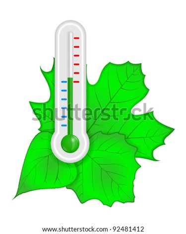 Thermometer with green leaves vector