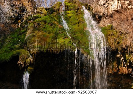 falling water stream over green moss at sunny day