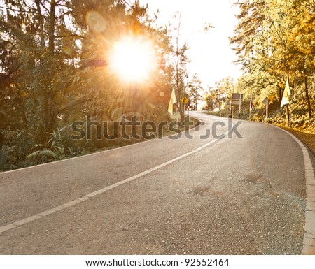 Roads in the forest and the sun