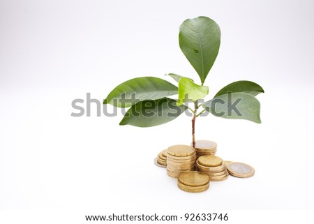 Gold coins and plant