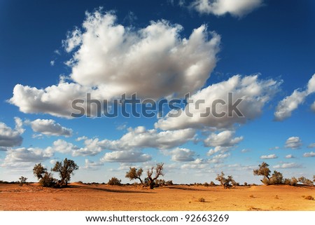 Sahara Desert landscape, Africa