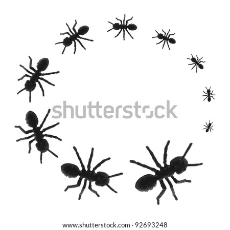 Toy Ants in Circle on White Background