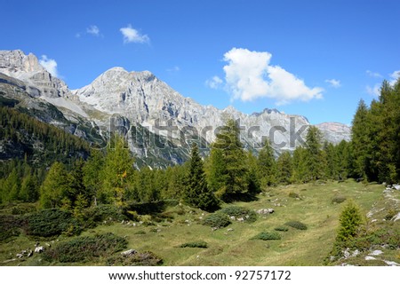 An image of a beautiful picture of mountains and green forest