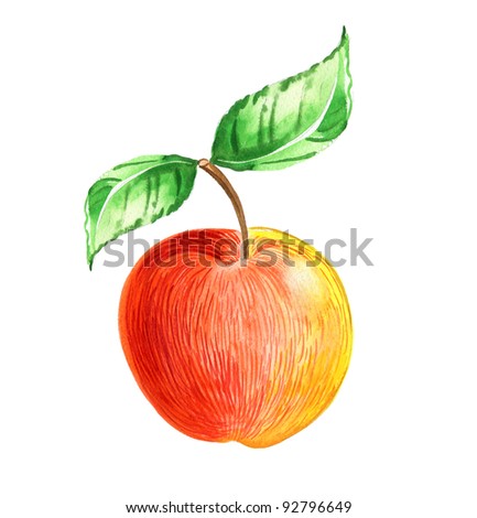 hand painted illustration: Apple