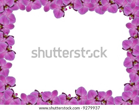 Frame from Orchid flowers
