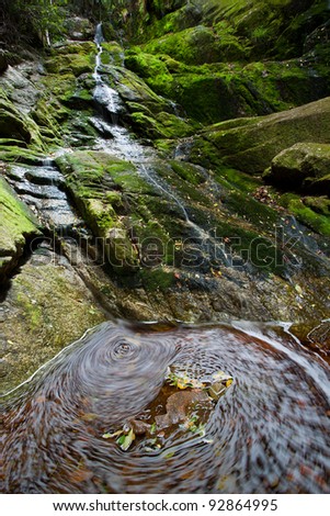 long exposure image of water and autumn leaves