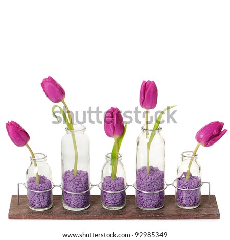 pink tulip flower arrangement in small glass  vases, isolated over white background