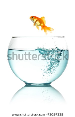 Goldfish jumping out of fishbowl isolated on white