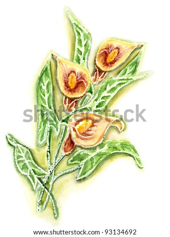 Watercolor a bunch of flowers anthurium