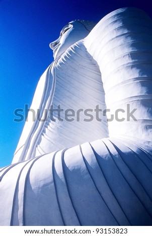 big statue of buddha in Sri Lanka with extreme low angle
