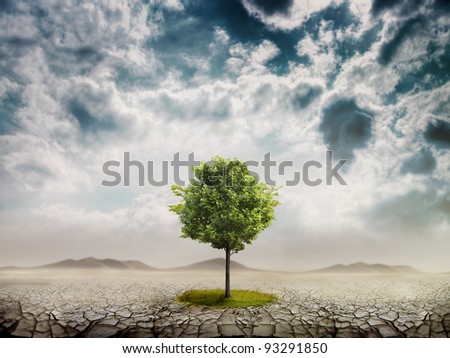Lonely green tree in the desert Royalty-Free Stock Photo #93291850