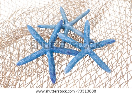 Three blue starfish on a net