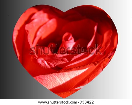 Cute Romantic Rose heart message card