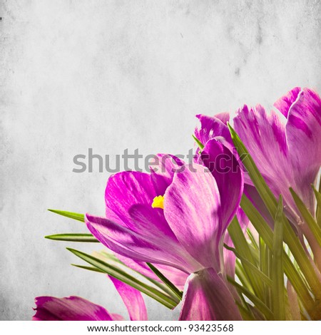textured old paper background with beautiful spring flowers