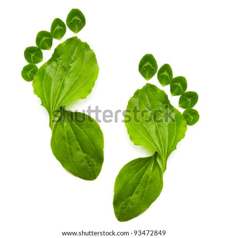 abstract spring green ecology symbol foot print Royalty-Free Stock Photo #93472849