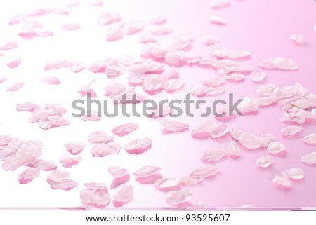Cherry Blossoms Royalty-Free Stock Photo #93525607