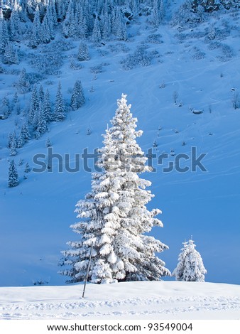 Winter in the swiss alps, Switzerland