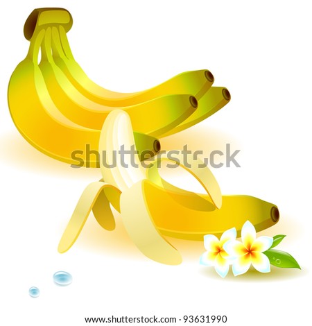 set of bananas, on a branch and purified,  with a tropical flower