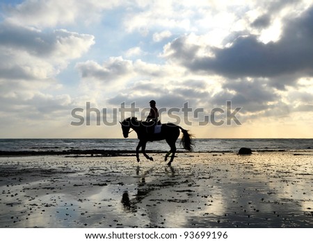 Silhouette of Female Horse Rider Galloping on the Sandy Beach with Reflection of the Sky
